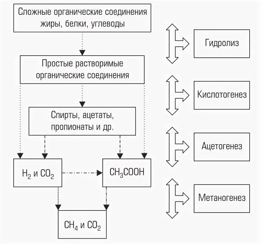 Анаэробный процесс превращения органических веществ. Анаэробный процесс превращения органических веществ. Анаэробный процесс превращения органических веществ. Метановое брожение схема. Переходы превращение серы.