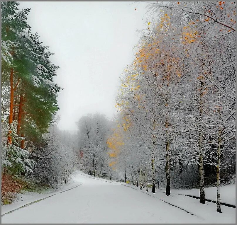Осень ноябрь. Осень солнце снег. Встреча осени и зимы. Зима приближается сызнова. Снежная осень.