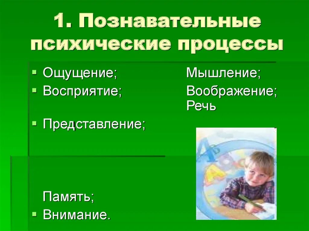 Ощущения память мышление воображение восприятие. Познавательные процессы память внимание мышление воображение. Познавательные психические процессы. Психические процессы ощущение и восприятие. Познавательные психические процессы ощущение восприятие.