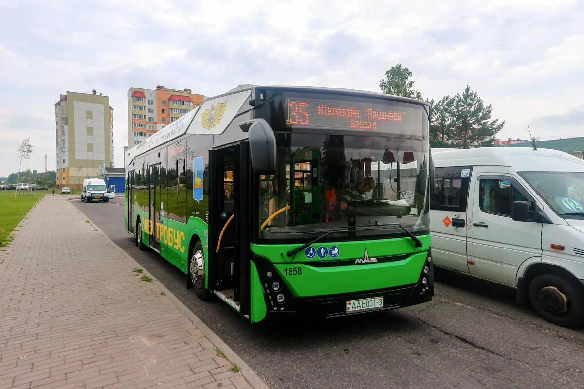 Мазы гомеля