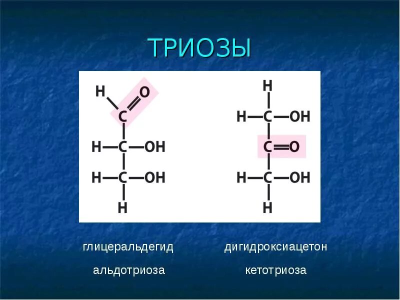 Углеводы содержат в молекуле