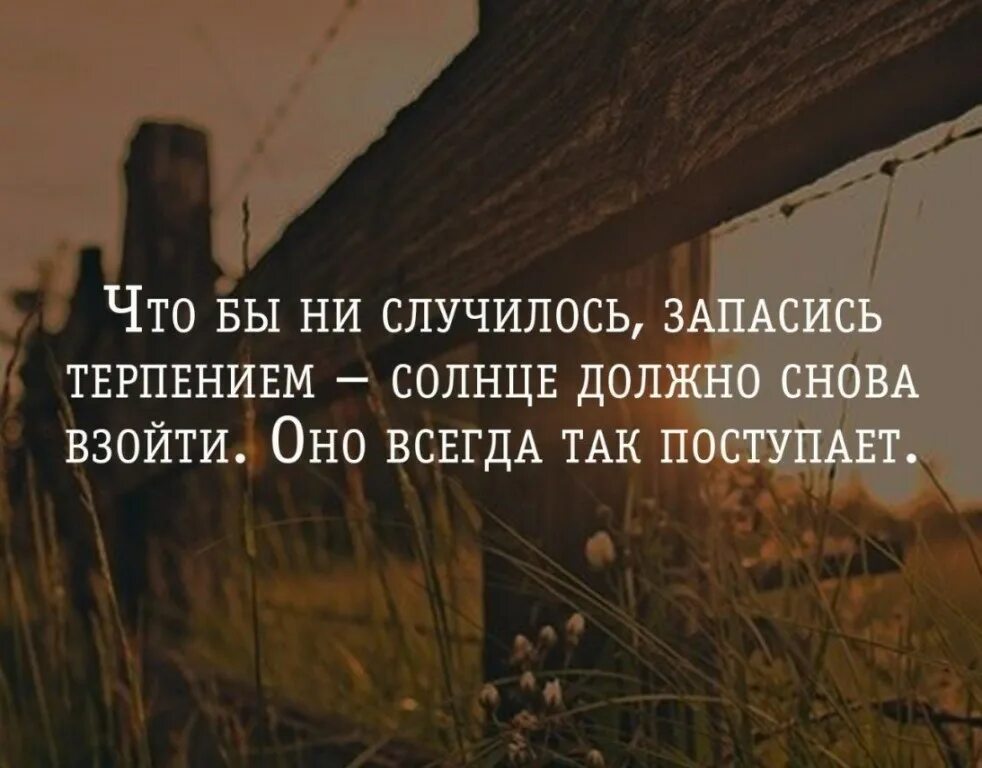 Читать жить легче. Счастье в одиночестве цитаты. Цитаты про одиночество души. Цитаты о человеке и одиночестве. Афоризмы про одиночество.