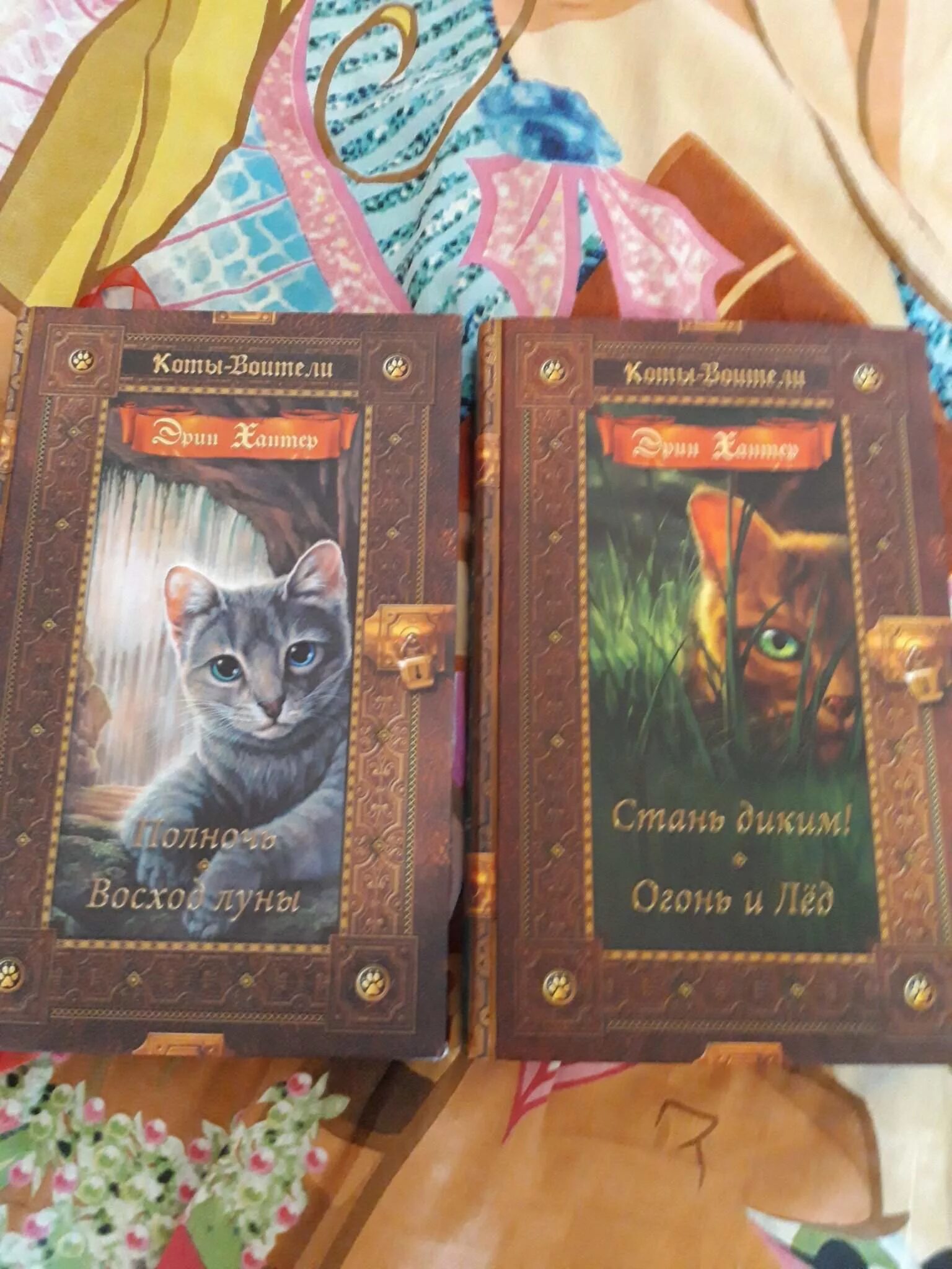 Коты воители книги лес секретов. Коты-воители. лес секретов. коты-воители. золотая коллекция. лес секретов. бушующая стихия. коты воители золотая коллекция лес секретов.