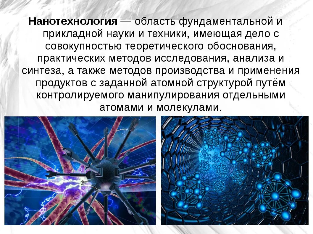 Почему биология является фундаментальной наукой