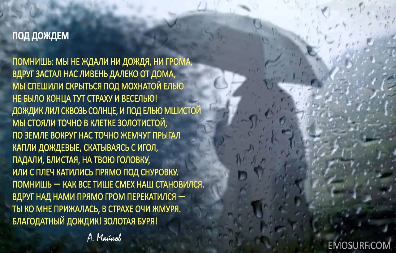 Стихотворение про дождь. Дожди: стихи. Стихи о Дожде красивые. Стихотворение про дождик. Температура песня три дня дождя полна любви