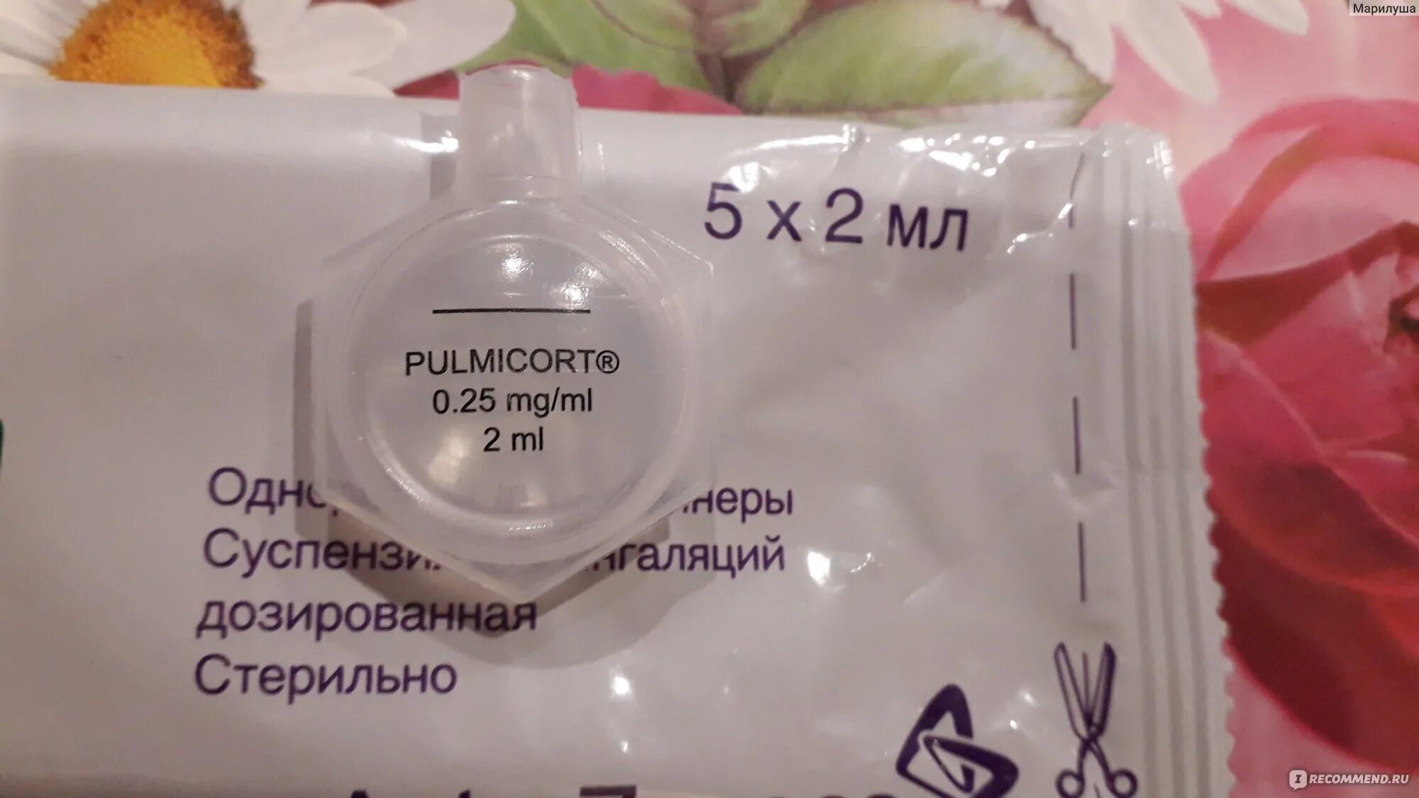 Пульмикорт при рините. Пульмикорт при рините