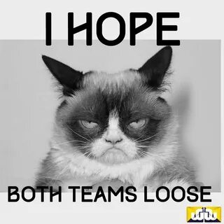 I hope both teams lose grumpy cat
