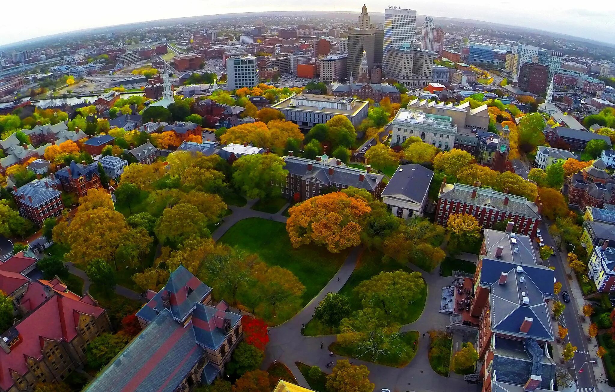 Bird s eye view