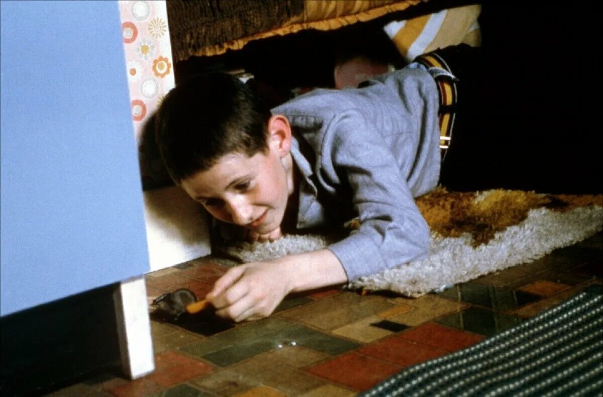 Крысолов линн рэмси. Забытые профессии. Старинная профессия крысолов. Рэт терьер. Крысоловы 2024.