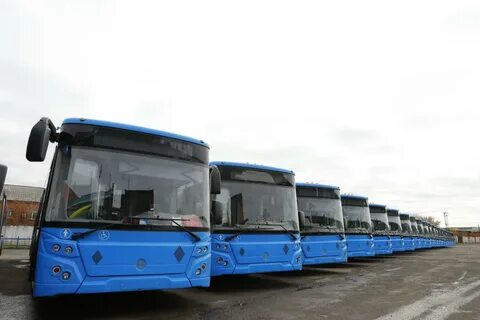 Новые автобусы название