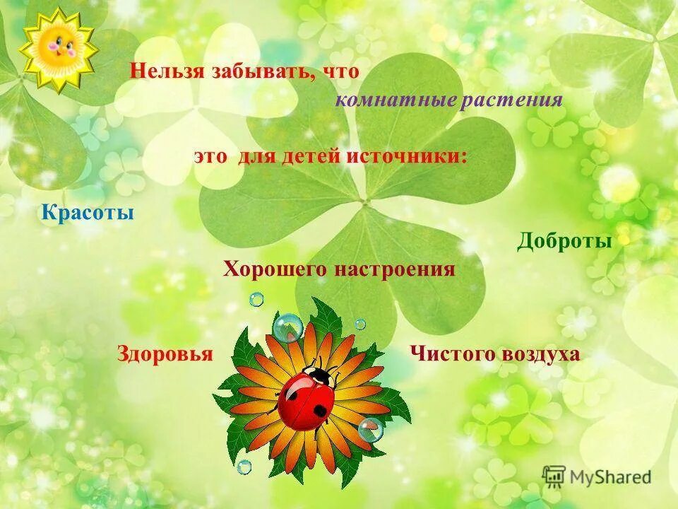 Дети на занятии по экологии. Проекты по экологии для дошкольников. Проекты по экологии средняя. Цель проекта по экологии. Проект по экологии в средней группе детского сада.