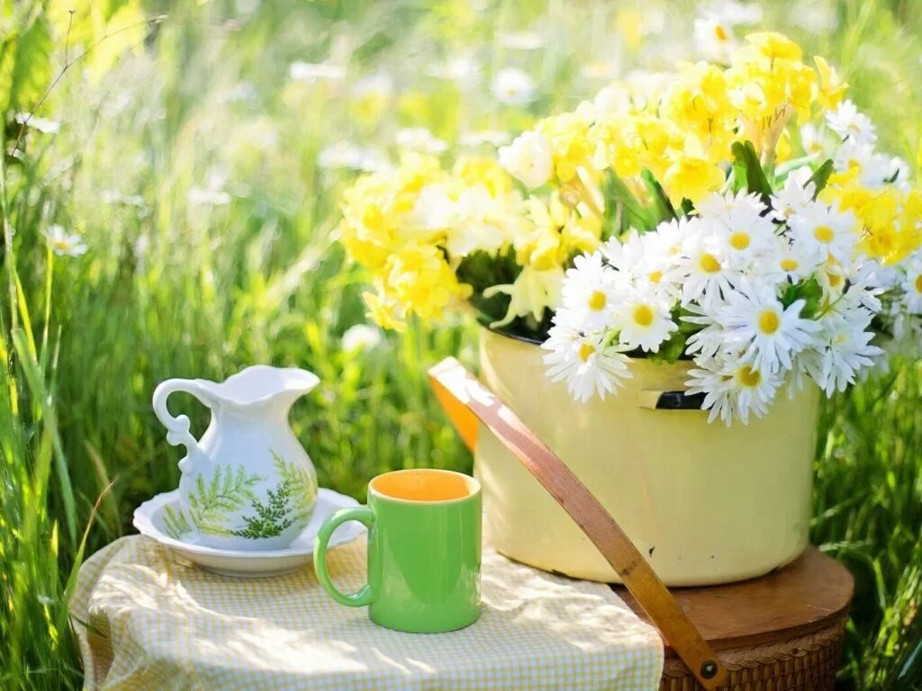 Легкого летнего дня. Летнее утро. Утренние цветы. Доброе утро летние цветы. Доброе утро лето.