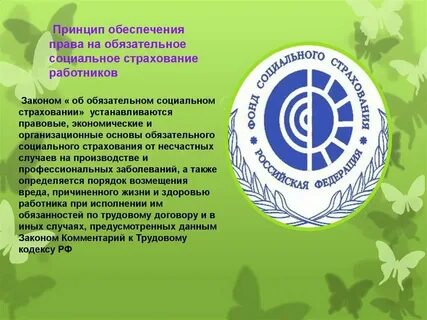 День работника социального страхования