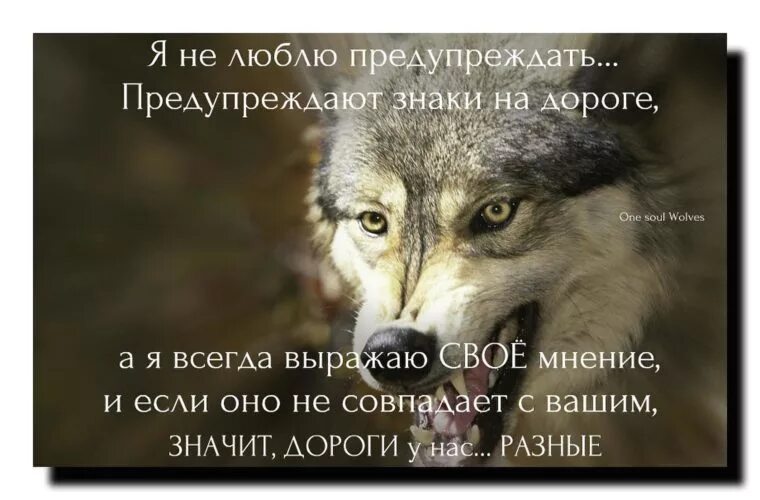 Какое высказывания по твоему мнению