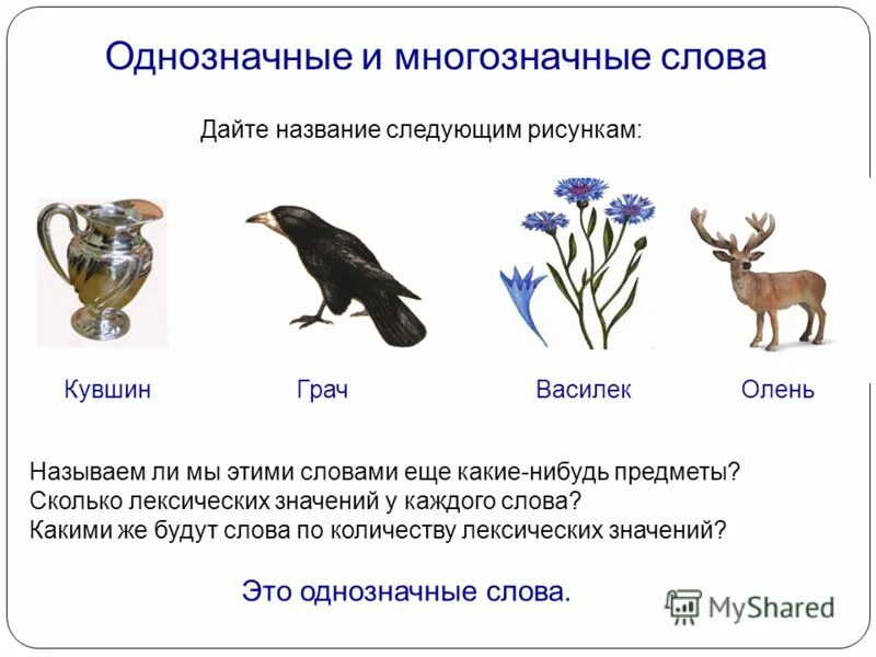 Многозначные слова 1 класс школа россии презентация