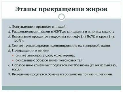 Какие превращения могут происходить в организме человека