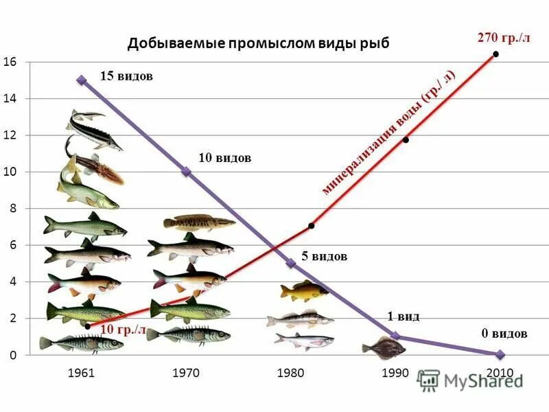 270 грамм воды