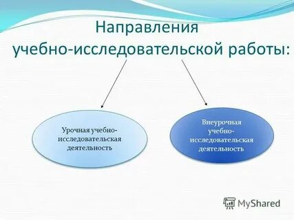 Направления учебно исследовательской деятельности