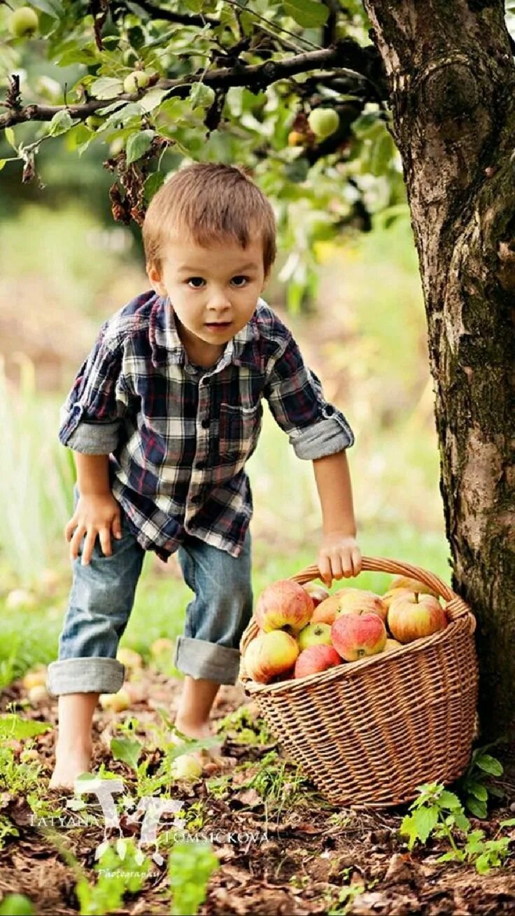 Country children. Урожай для детей. Фотосессия урожай для детей. Летний урожай. Фотосессия ребенка с фруктами на природе в год.