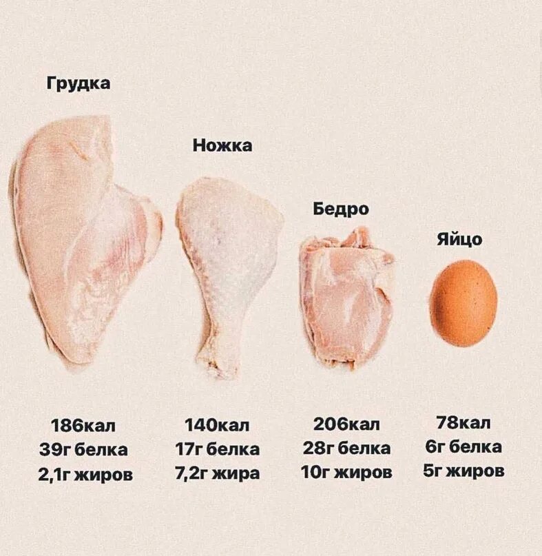 Белки сколько ножек. Куриное бедро с голенью. Голень или бедро курицы. Бедро и грудка куриная. Часть бедра и голени курицы.