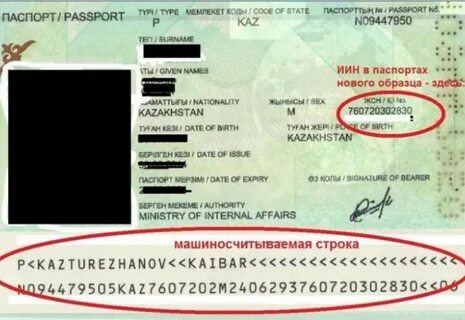 Настя Заворотнюктің секс видеосы