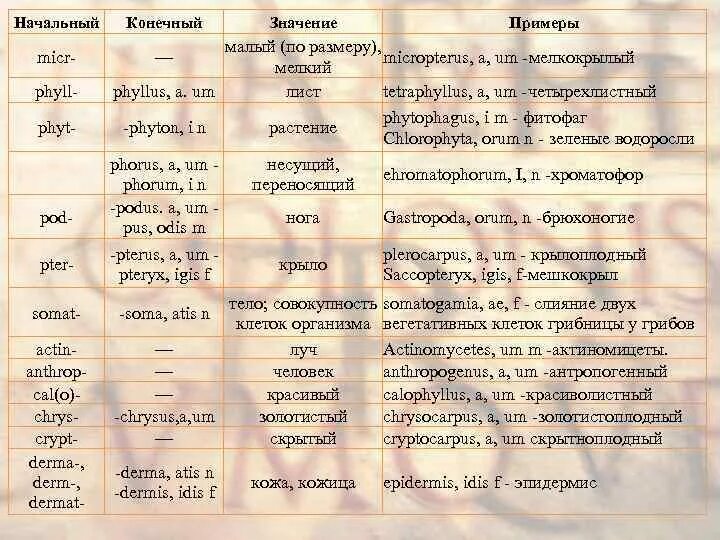 Воспаление латынь терминоэлемент. Словообразование в латинском языке. Словообразование в латыни. Способы словообразования в латыни. Суффиксы в латыни.