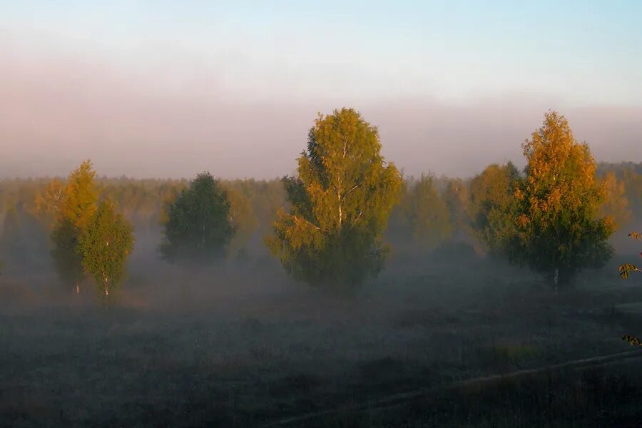 Холмы в тумане. Утро туман. Туман фото. Наступило туманное. Болото на рассвете.