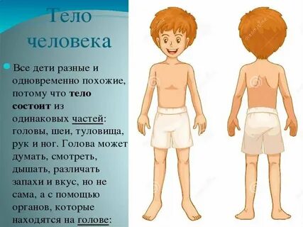 Поставь туловище