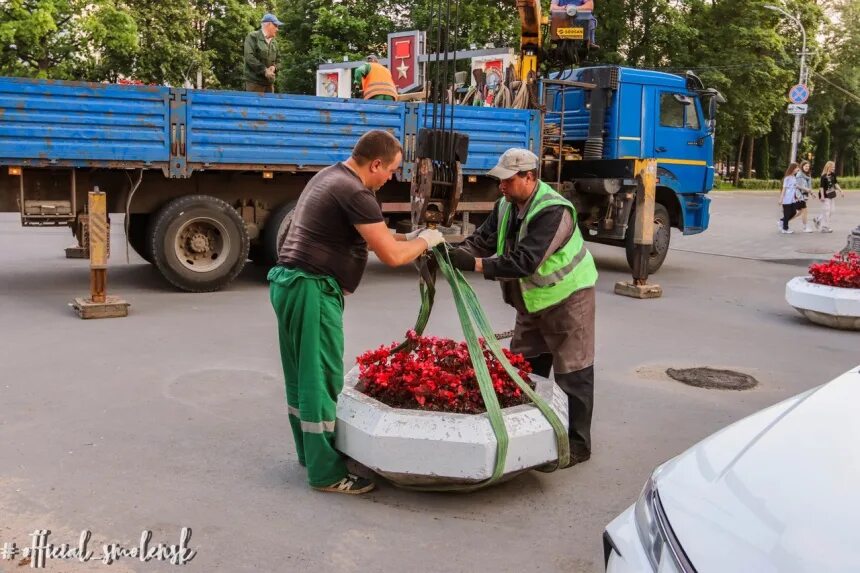Ул воробьева 11/9 смоленск. Картинки цветы в смоле. Городские цветы смоленск. Высадка цветов в городе. Озеленение смоленска.