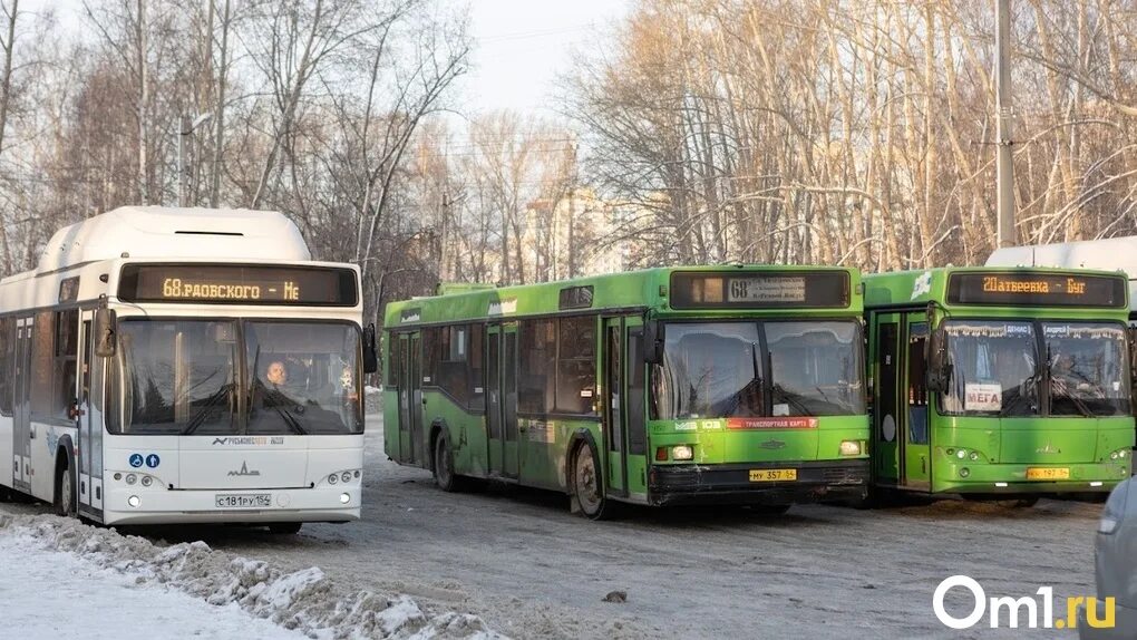 Общественный транспорт Новосибирск. Автобус Новосибирск. Троллейбус автобус. 23 Автобус Новосибирск.