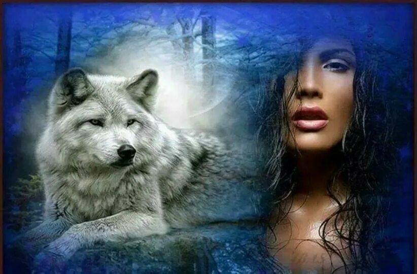 Песня одинокая волчица mp3. Волчица и девушка. Одинокие волки. Одинокая волчица. Девушка с душой волка.