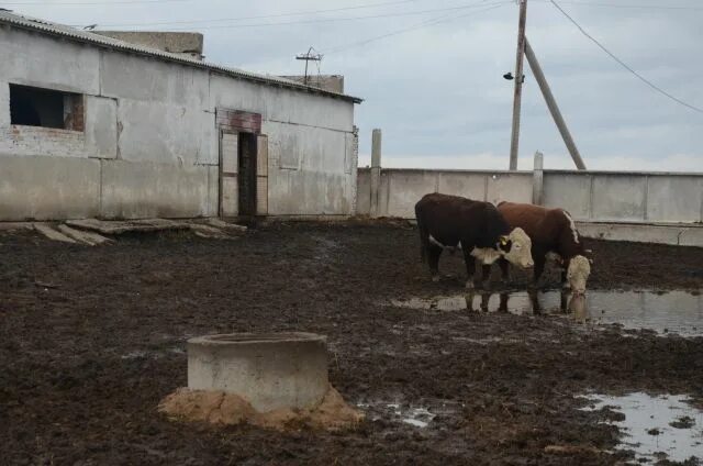 Погода димитровский оренбургская область. Домбаровка (река). Димитров донецкая область фото. Погода димитровский оренбургская область. Погода в мухраново.