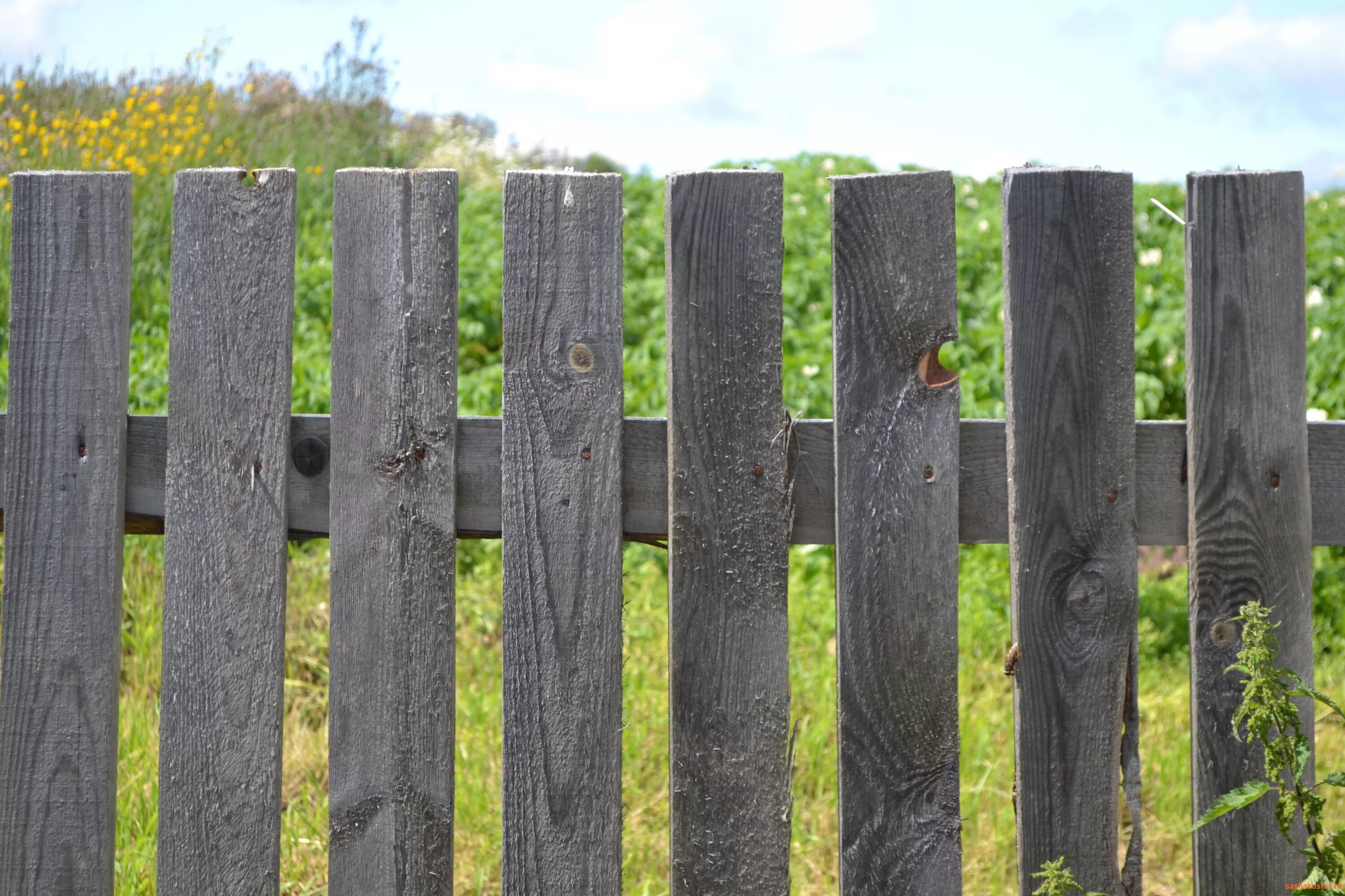 Старый забор. Деревянный забор. Деревенский забор. Страрыйдеревянный забор. Старый забор купить