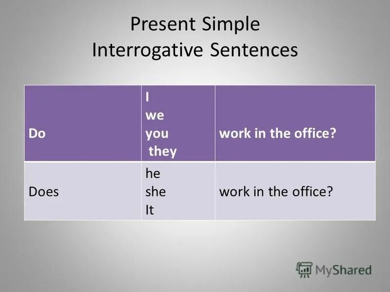 Write interrogative sentences. Present simple. Презент Симпл негатив. Present simple вопросы. Презент Симпл интеррогатив.