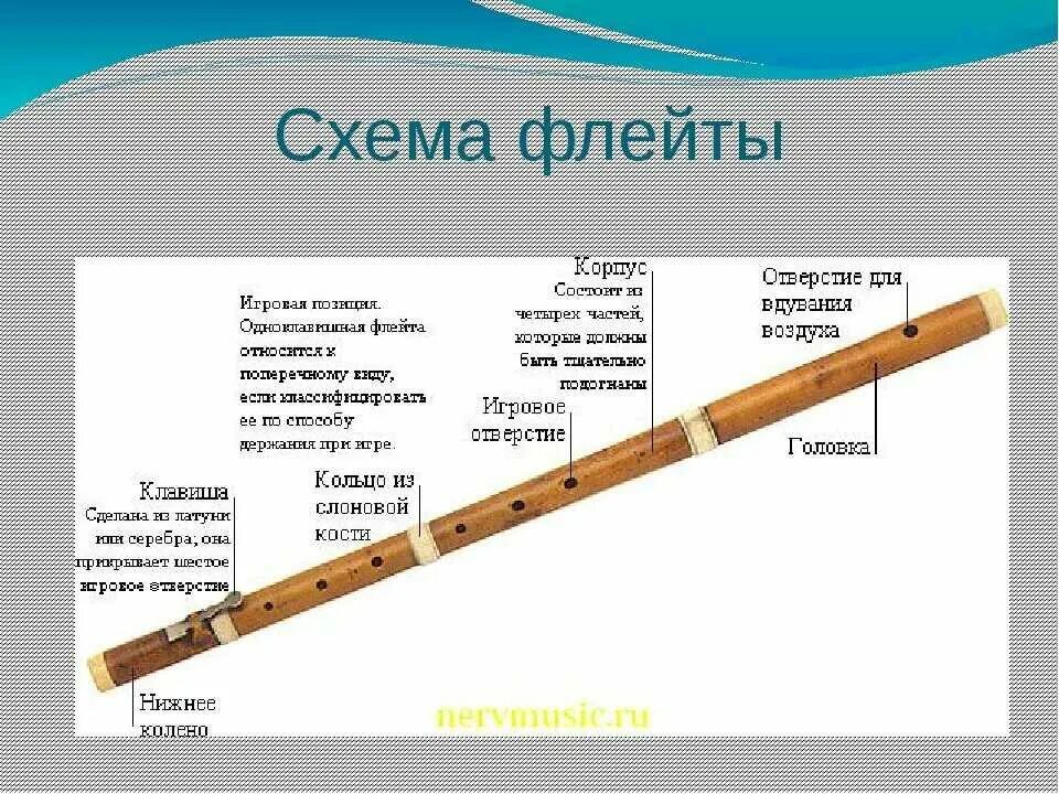 Давай флейту. Строение поперечной флейты схема. Флейта деревянный духовой музыкальный инструмент. Флейта строение инструмента. Строение блокфлейты схема.