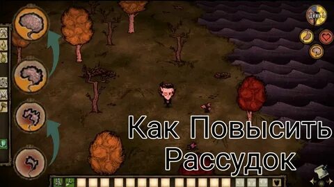 Донт старв рассудок