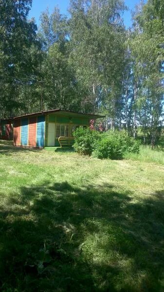 Путевки в березовую рощу