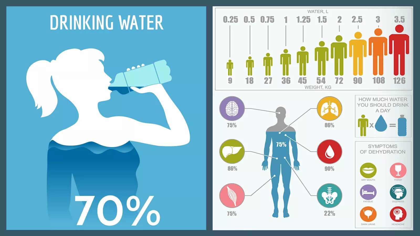 10 дней пить воду. Сколько пить воды. организм человека состоит из воды. how much drink water. вода how much.