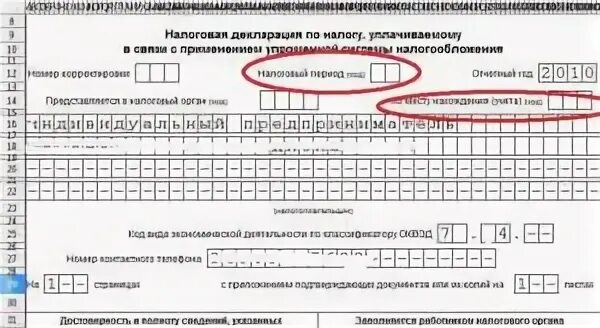 Не сдала декларацию вовремя