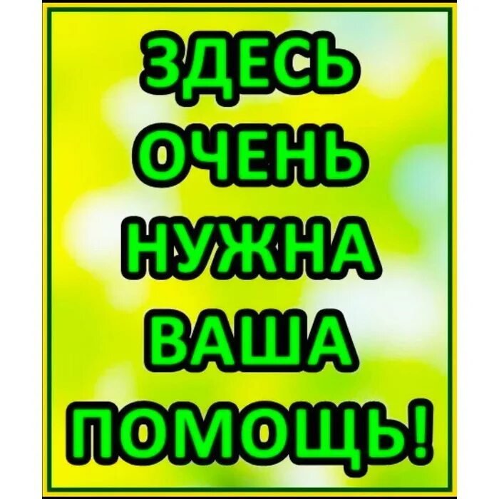 Включи очень нужно. Нам очень нужна ваша помощь. Здесь нужна ваша помощь. Очень нуждаемся в вашей помощи. Нужна ваша помощь картинки.