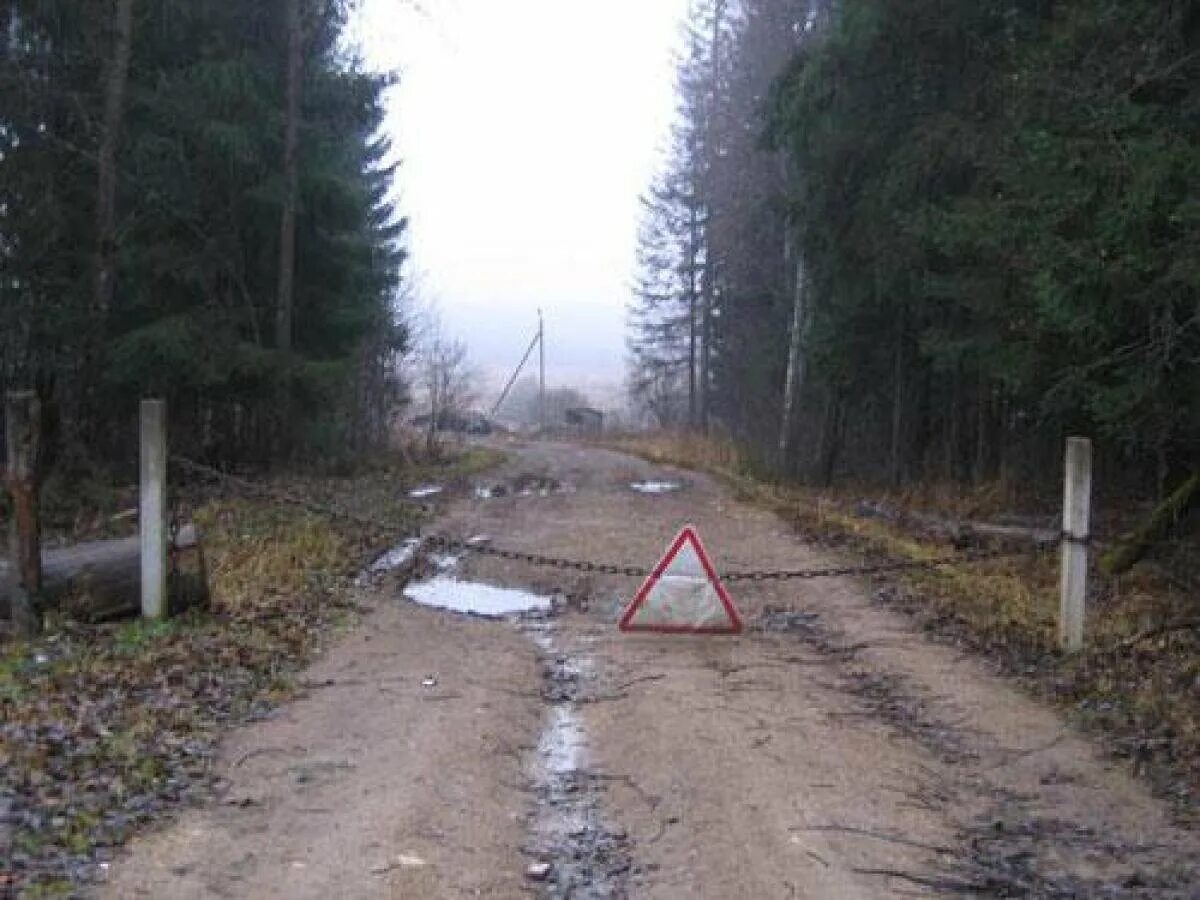 Где больше аномалий. Никитская аномальная зона в Калужской области. Никитская аномальная зона лес. Село Никитское Калужская область лес. Аномалии в России гиблые места.