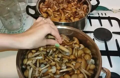 Сколько варить грибы после закипания