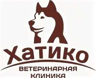 Хатико балаково магазин техники. Ветклиника Хатико Екатеринбург. Ветклиники в Омске.