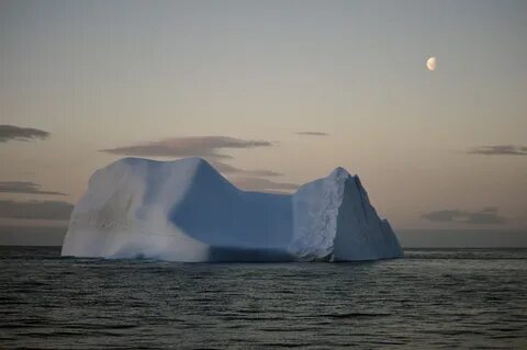 Полярная морская