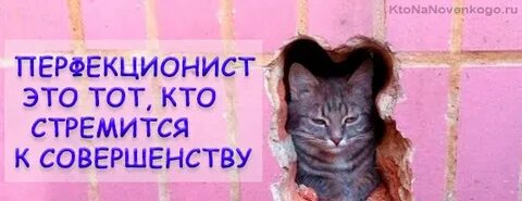 Перфекционистка кто это женщина