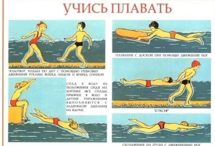 Как научиться плавать картинки. Правильная техника плавания. Как правильно научиться плавать. Как надо правильно плавать. Можно ли научиться плавать