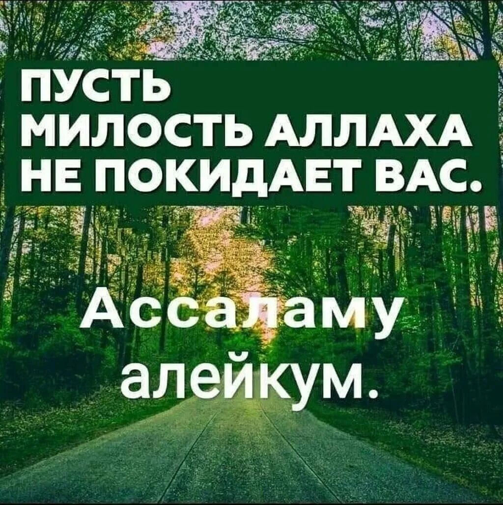 Ассалам алейкум. Милость Аллаха. Ассалам алейкум доброе утро. Пусть милость Аллаха не покидает вас. Саля малейкум