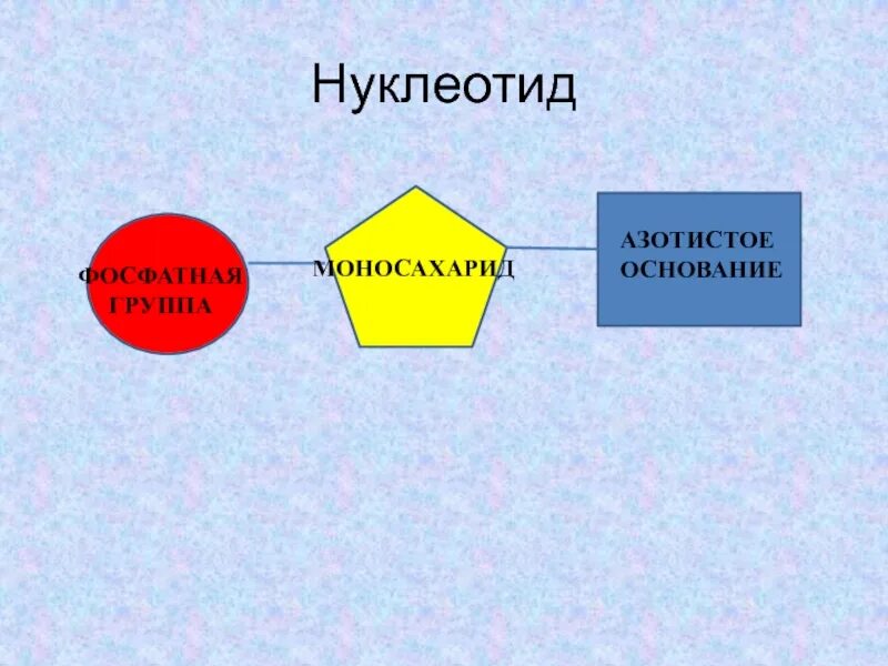 Основания делятся на группы. Нуклеотиды азотистые основания фосфатная группа и. Азотистые основания нуклеотидов. Строение нуклеотида азотистое основание. ДНК нуклеотиды азотистое основание фосфатная группа.