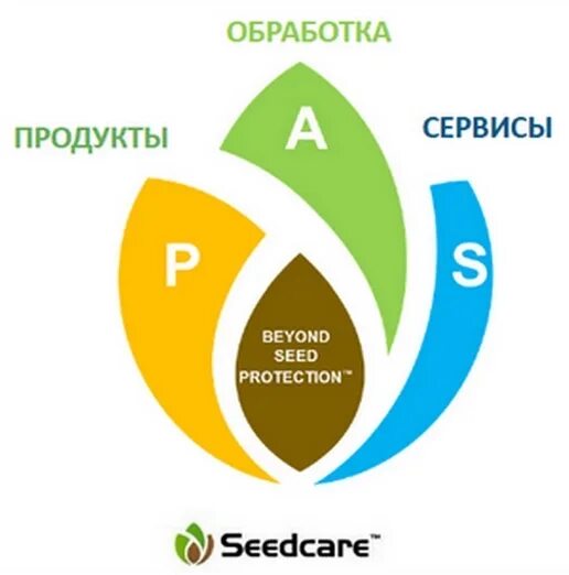 Семечко сажают в землю. Растения в почве. Рассада баннер. Семечко подсолнуха прорастание. Рука сеет семена.