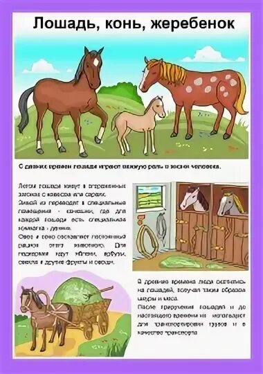 Лошадь с жеребенком развитие речи старшая группа. Лошадка задания для детей. лошадь задания для детей. лошади развивающее занятие для детей. занятие лошадка для малышей.